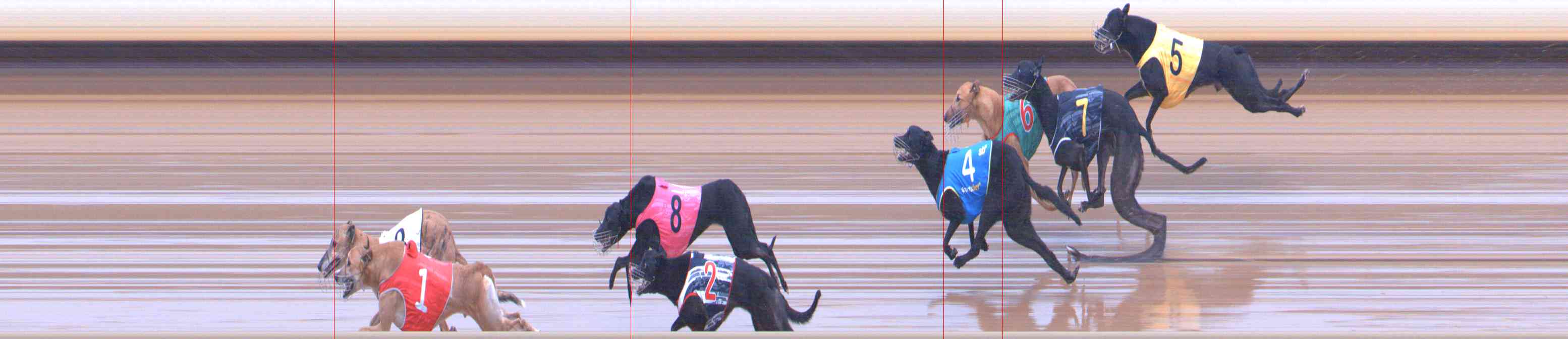 Photo finish for Healesville Race 9