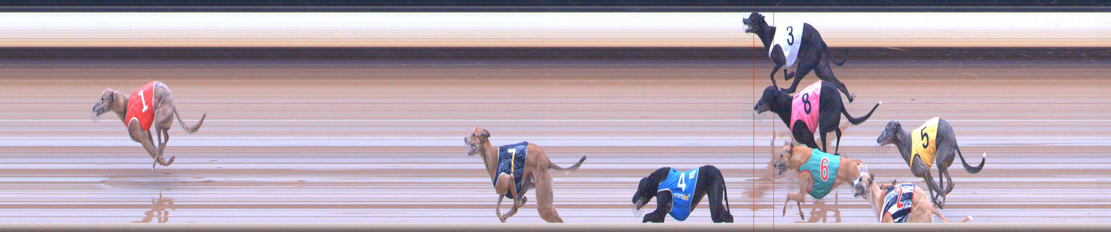 Photo finish for Healesville Race 10