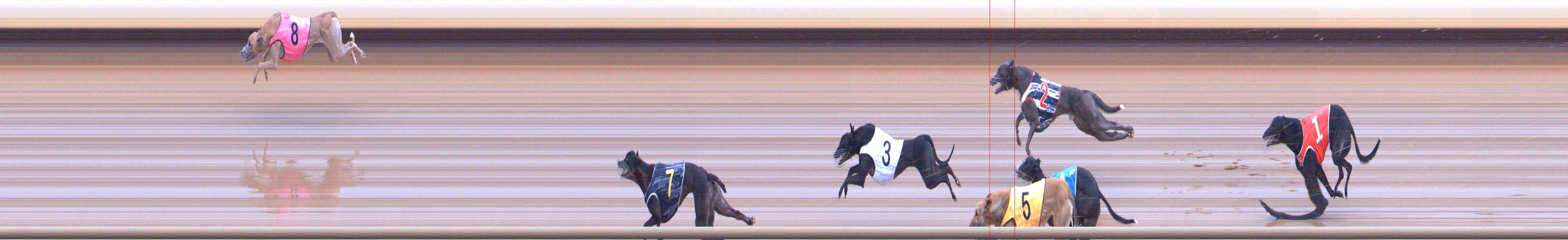 Photo finish for Healesville Race 11