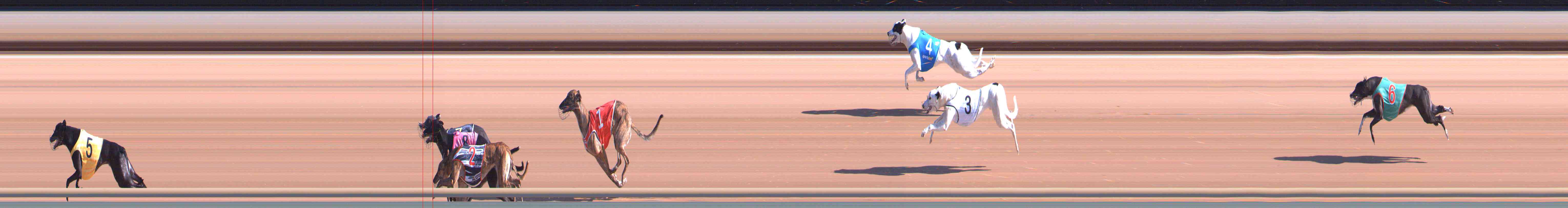 Photo finish for Healesville Race 1
