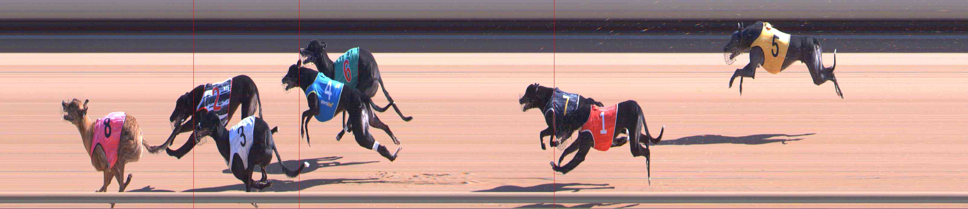 Photo finish for Healesville Race 4