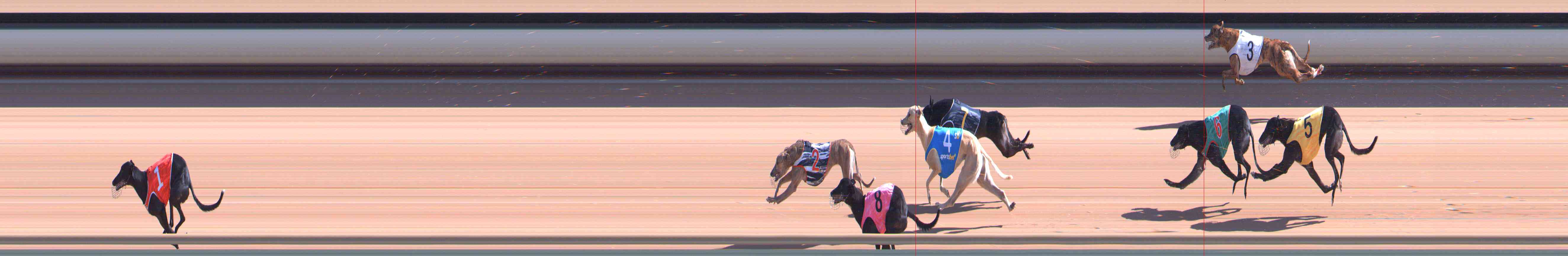 Photo finish for Healesville Race 5