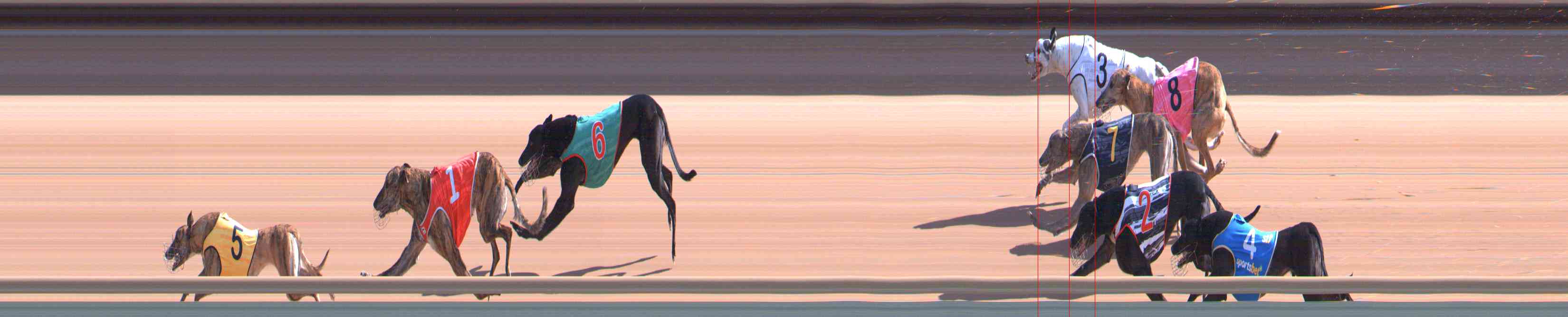 Photo finish for Healesville Race 6