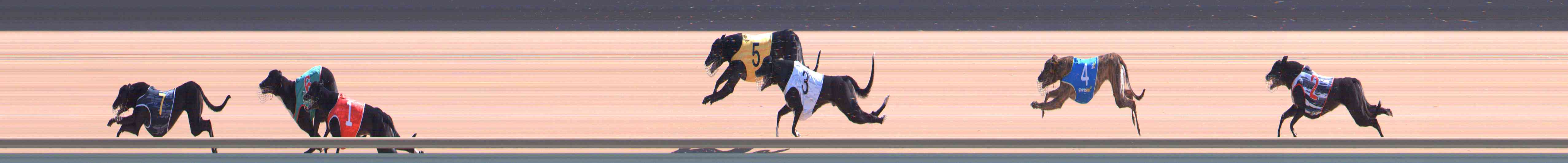 Photo finish for Healesville Race 7