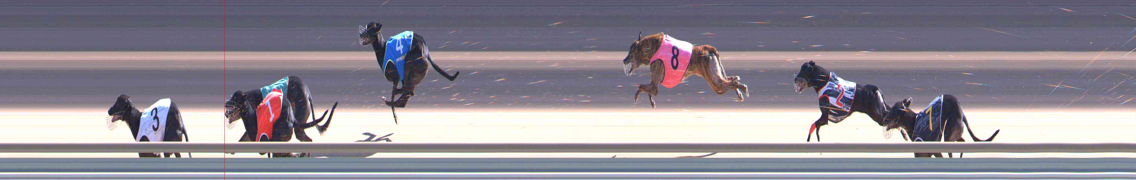 Photo finish for Healesville Race 8