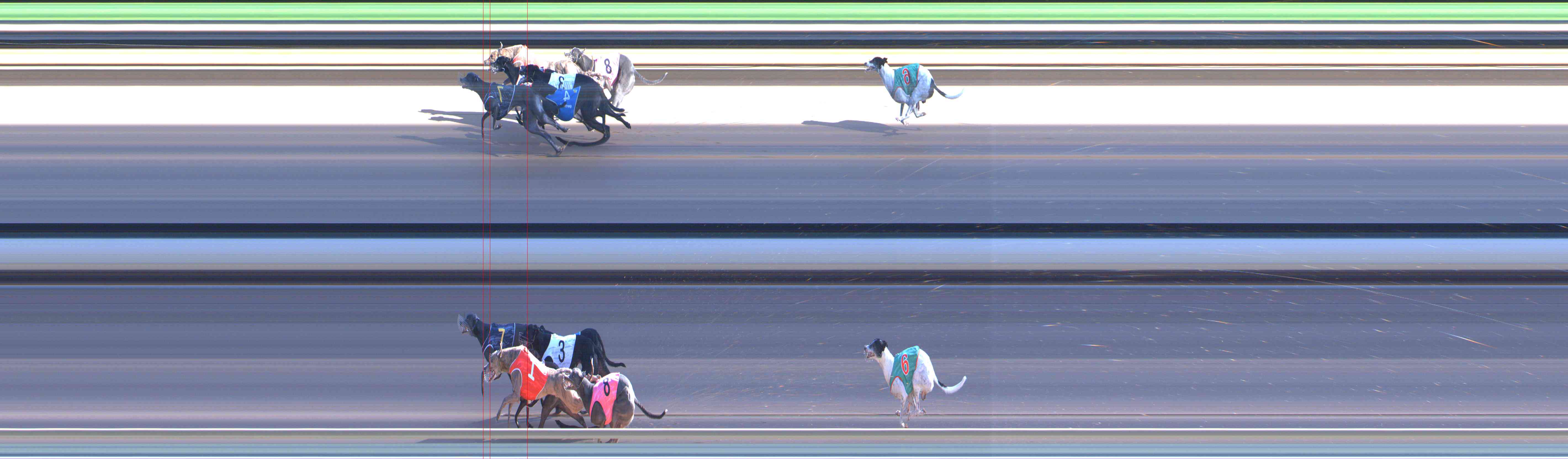 Photo finish for Healesville Race 9