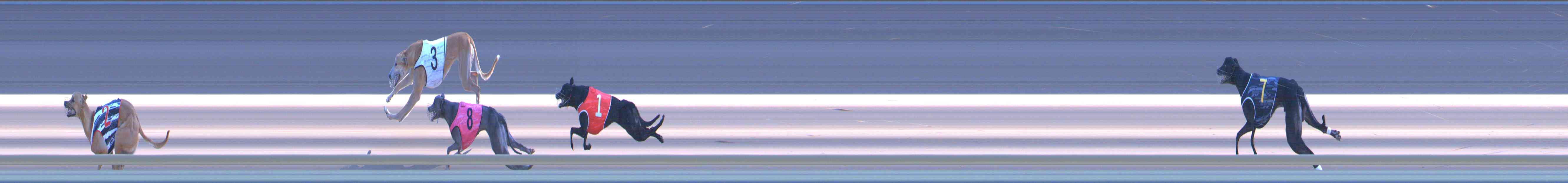 Photo finish for Healesville Race 10