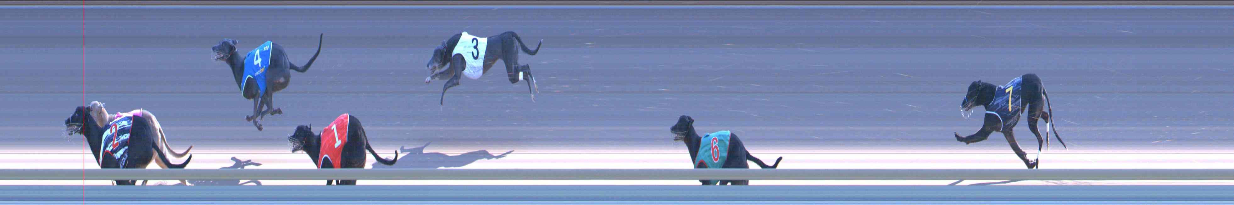 Photo finish for Healesville Race 11