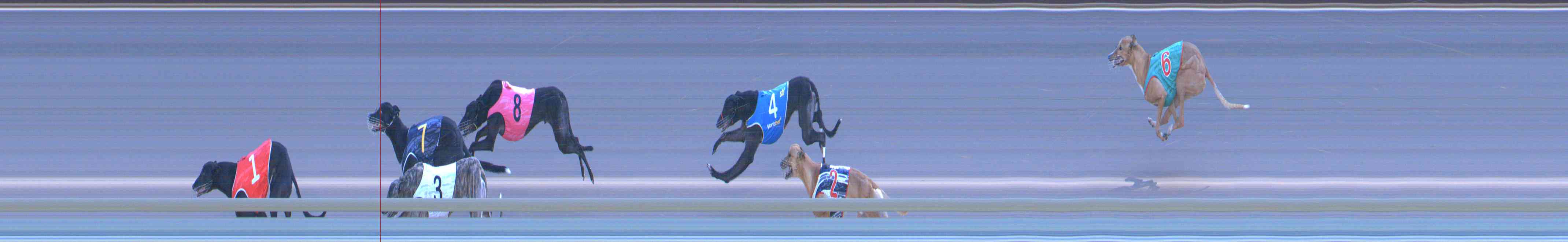 Photo finish for Healesville Race 12