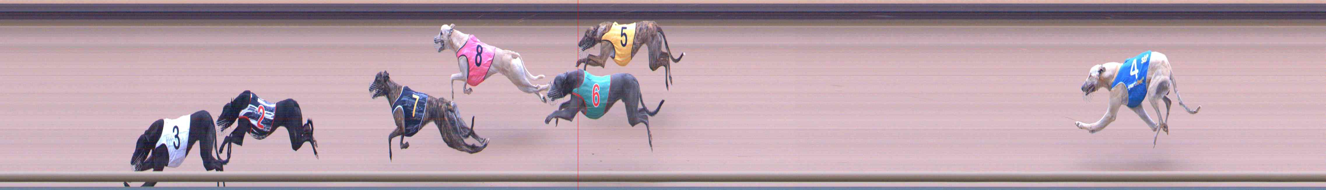 Photo finish for Healesville Race 1