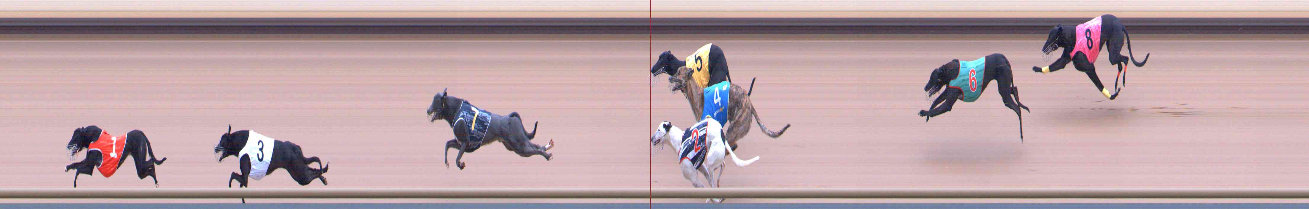 Photo finish for Healesville Race 2