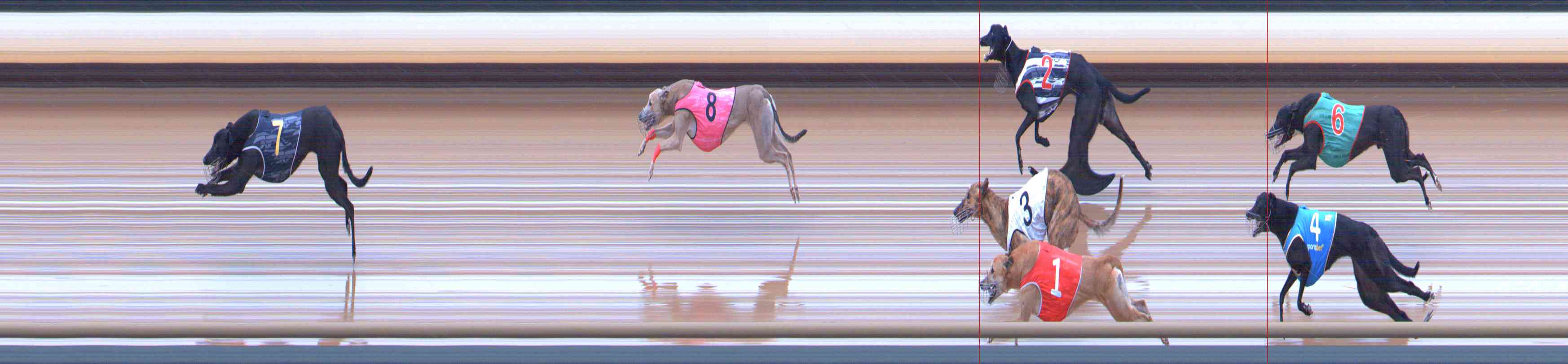 Type Draw Shadow Box Healesville 25/10/2026