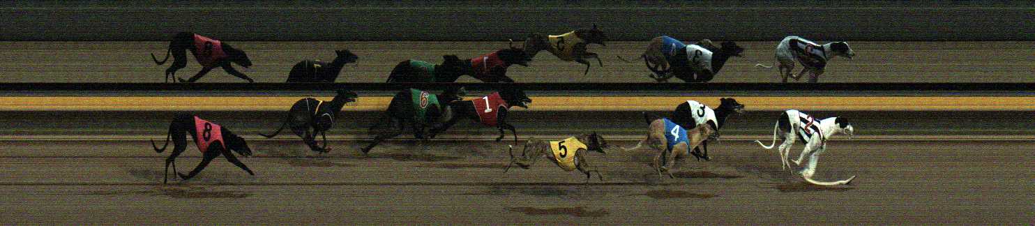 Photo finish for Horsham Race 12