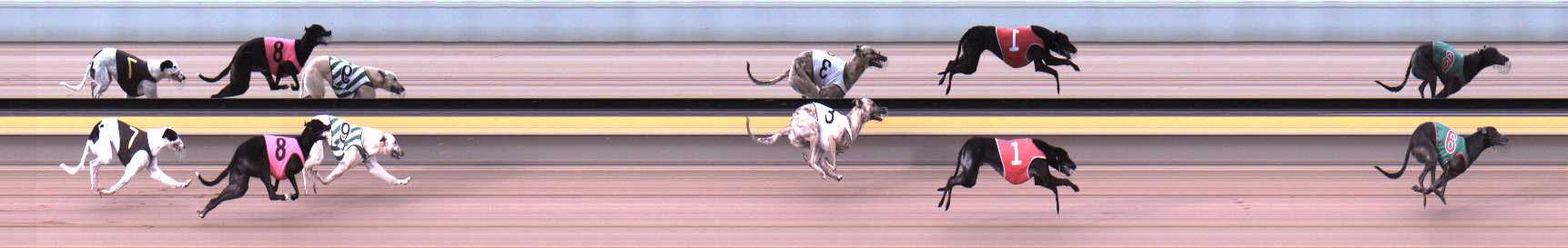 Photo finish for Horsham Race 1