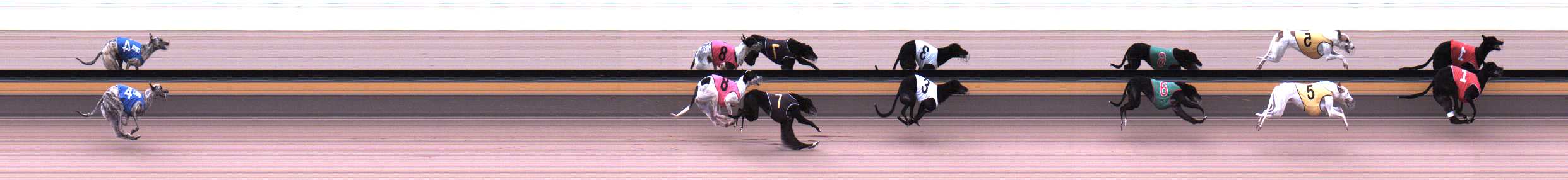 Photo finish for Horsham Race 2
