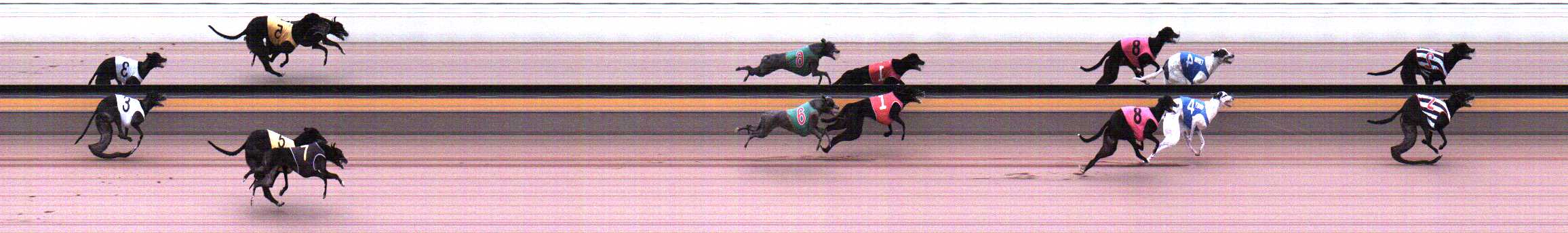 Photo finish for Horsham Race 3