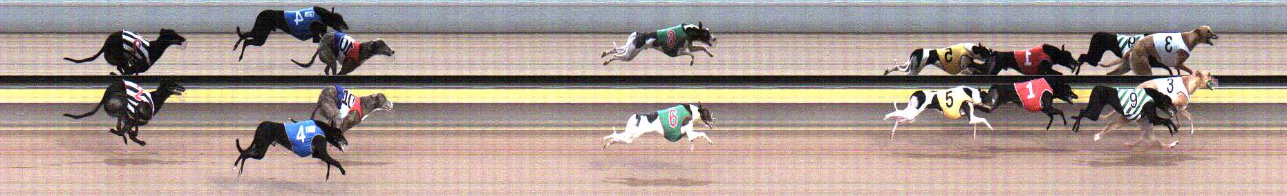Photo finish for Horsham Race 4