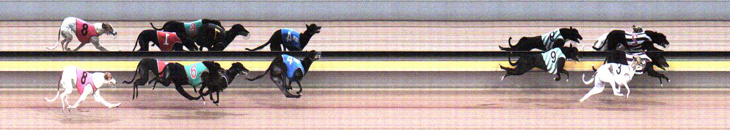 Photo finish for Horsham Race 5