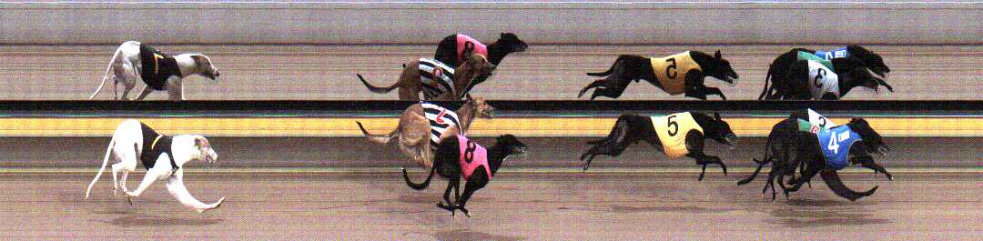 Photo finish for Horsham Race 6