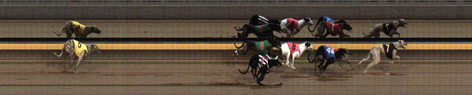 Photo finish for Horsham Race 7