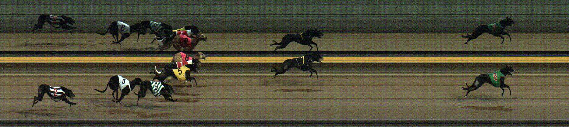 Photo finish for Horsham Race 8