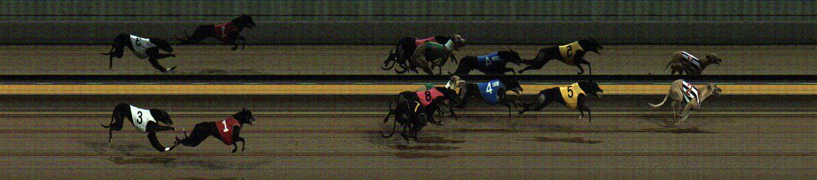 Photo finish for Horsham Race 9