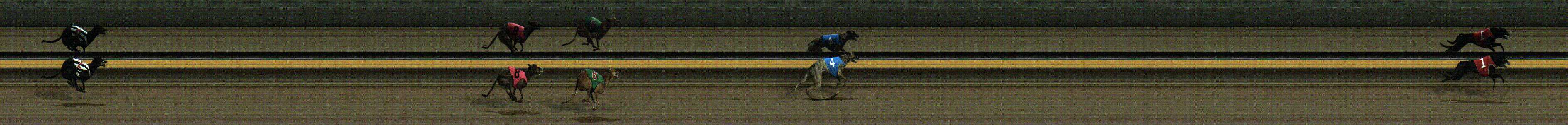 Photo finish for Horsham Race 10
