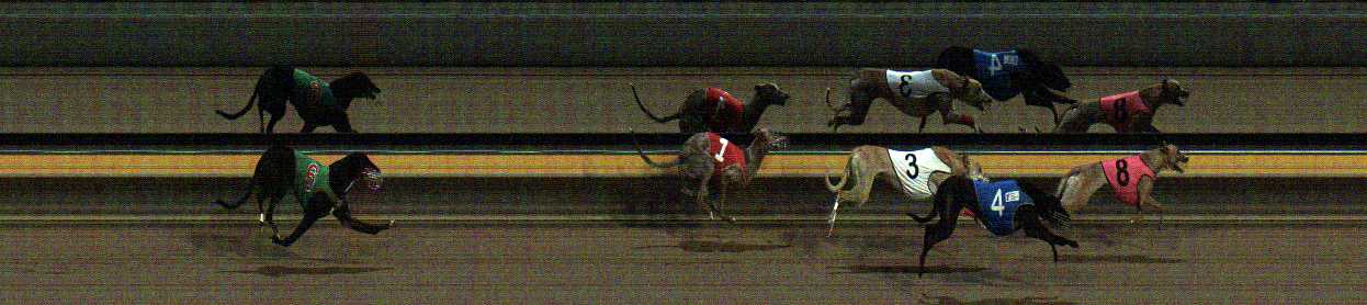 Photo finish for Horsham Race 11