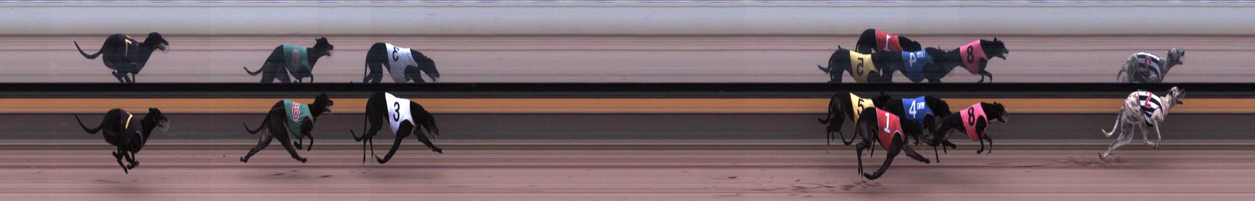 Photo finish for Horsham Race 1