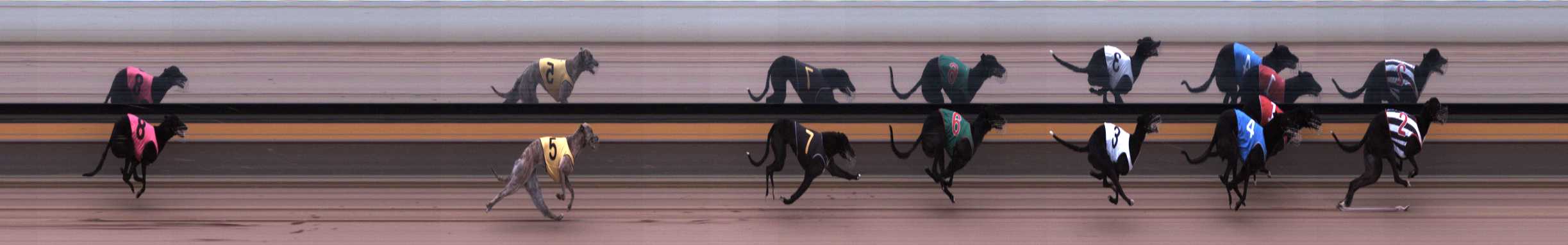 Photo finish for Horsham Race 2