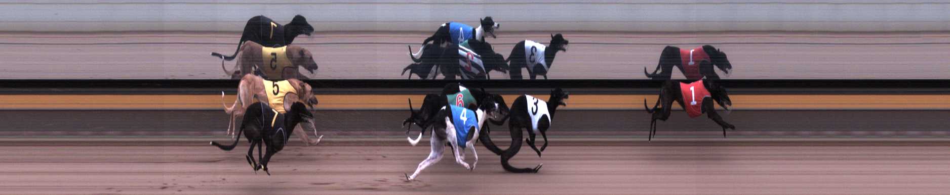 Photo finish for Horsham Race 4