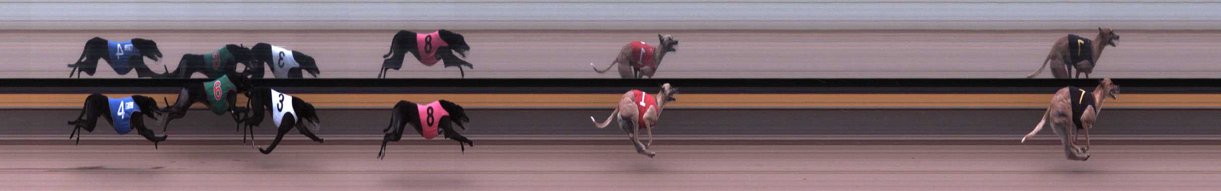 Photo finish for Horsham Race 5