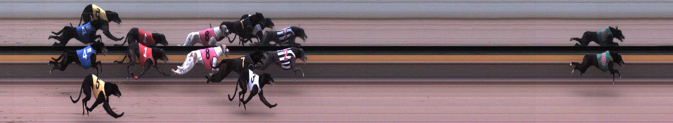 Photo finish for Horsham Race 9