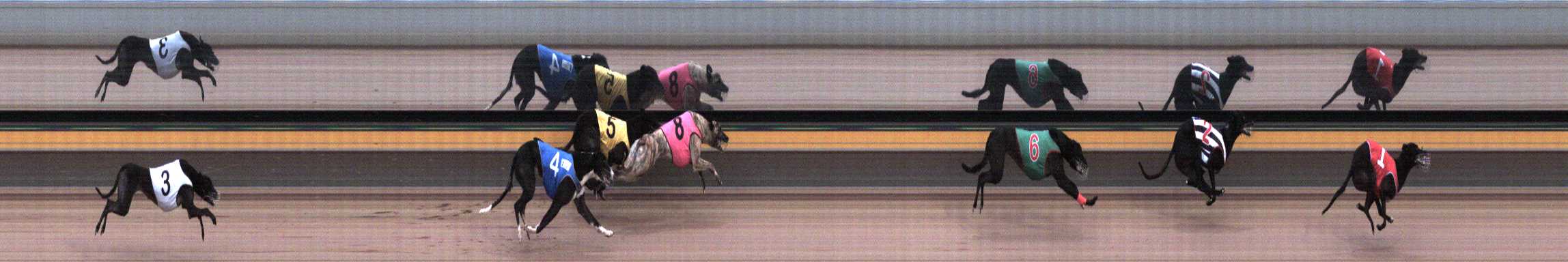 Photo finish for Horsham Race 11