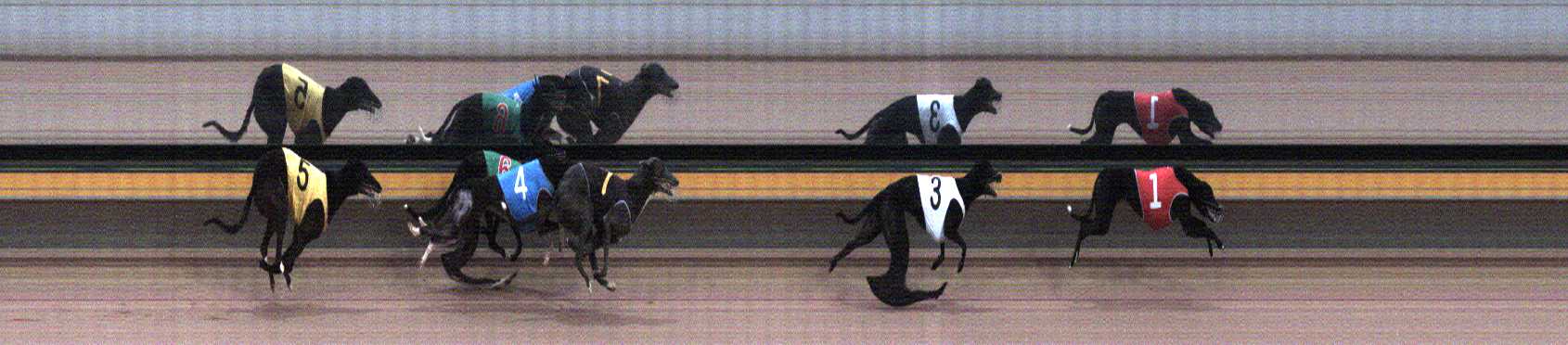 Photo finish for Horsham Race 12