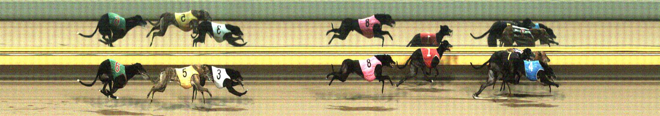 Photo finish for Horsham Race 12