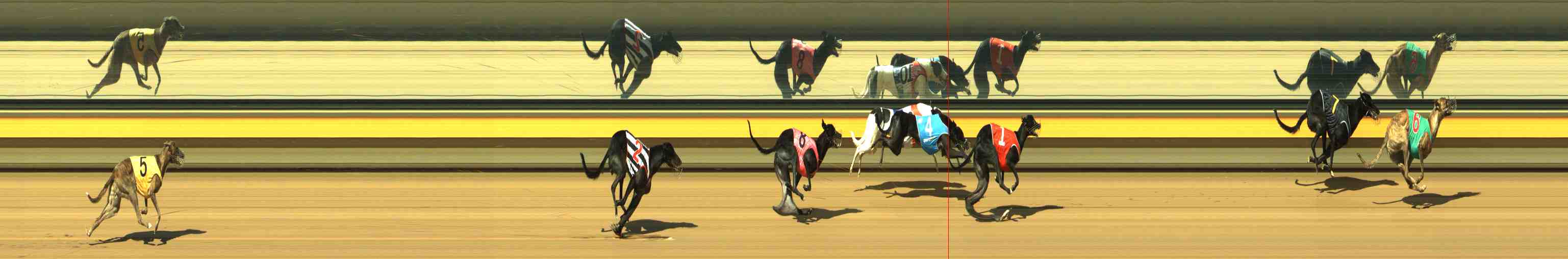Photo finish for Horsham Race 2