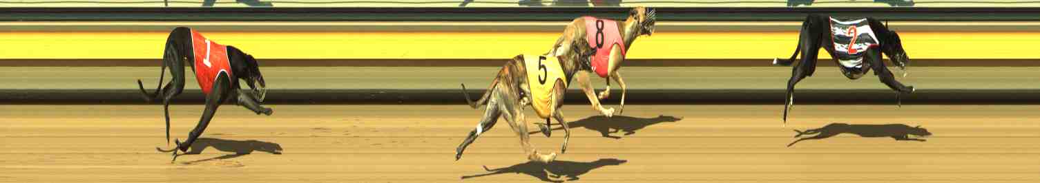 Photo finish for Horsham Race 3
