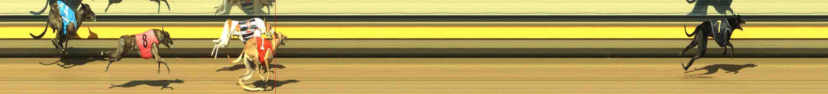 Photo finish for Horsham Race 4