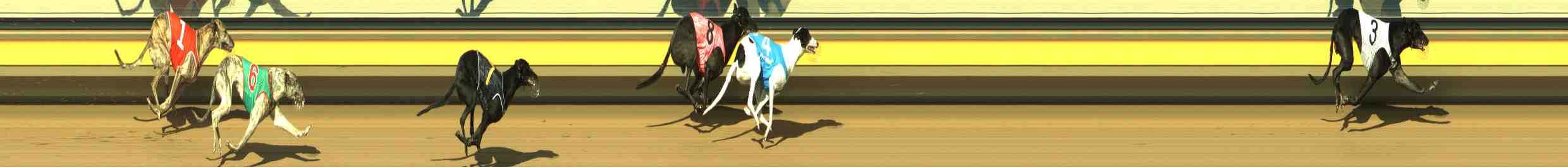 Photo finish for Horsham Race 5