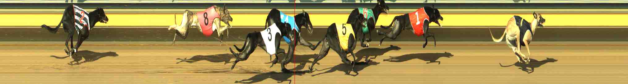 Photo finish for Horsham Race 6