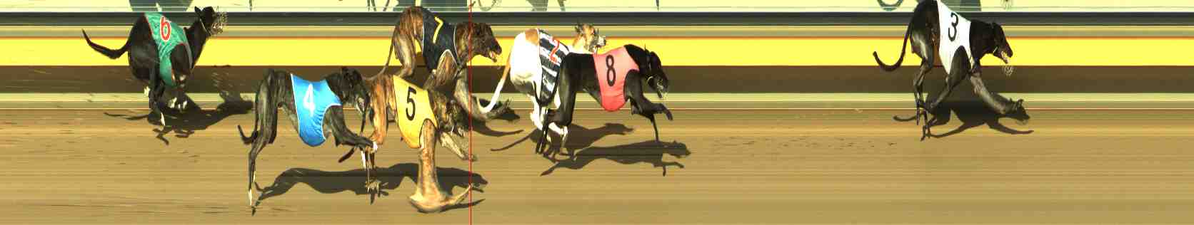 Photo finish for Horsham Race 7