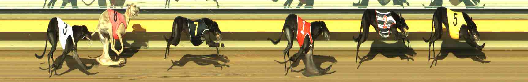 Photo finish for Horsham Race 8