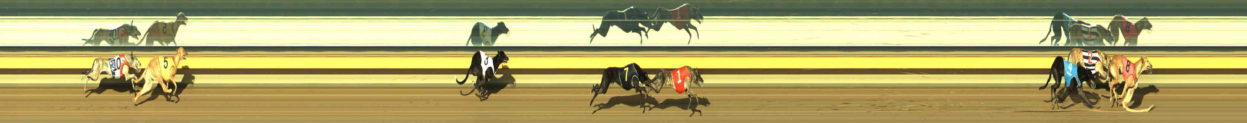 Photo finish for Horsham Race 9