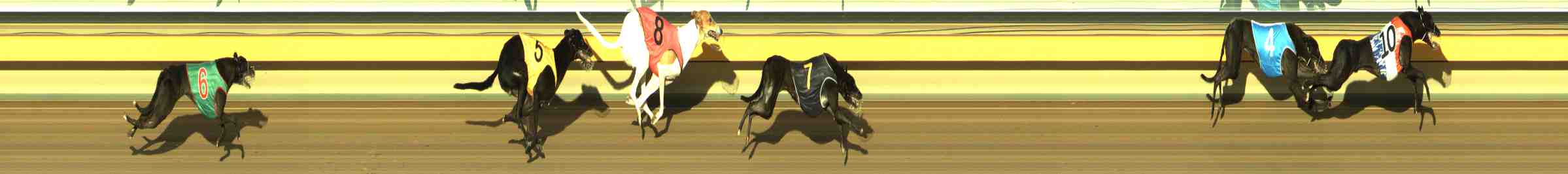 Photo finish for Horsham Race 10