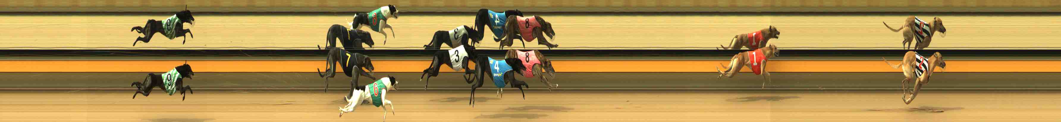 Photo finish for Horsham Race 1