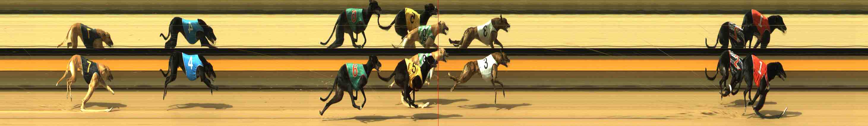 Photo finish for Horsham Race 2