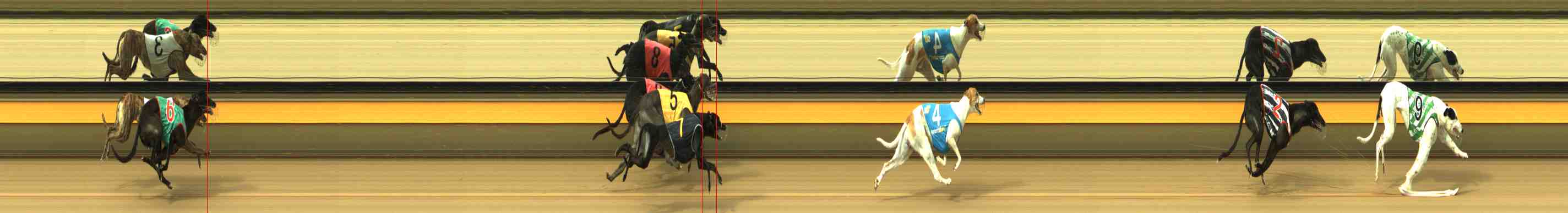 Photo finish for Horsham Race 5