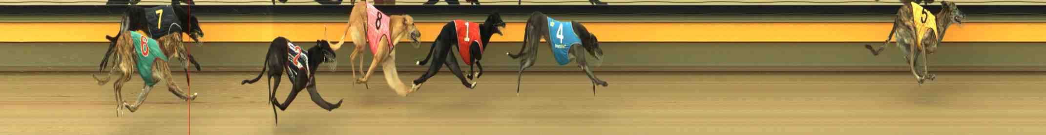 Photo finish for Horsham Race 6