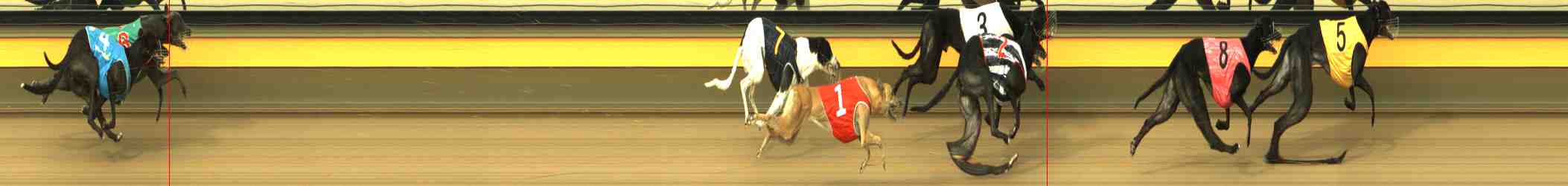 Photo finish for Horsham Race 7